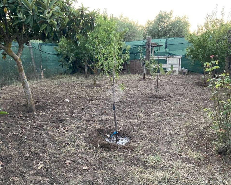 immagine annuncio 10 di 14