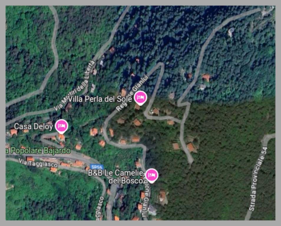 immagine annuncio 12 di 15