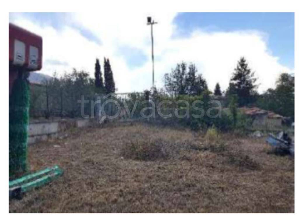 immagine annuncio 5 di 12