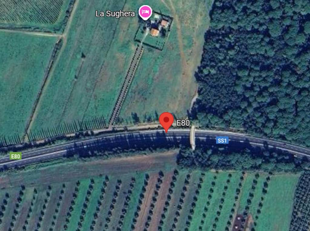 immagine annuncio 4 di 12