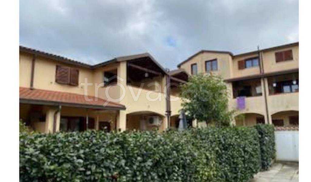 immagine annuncio 9 di 13