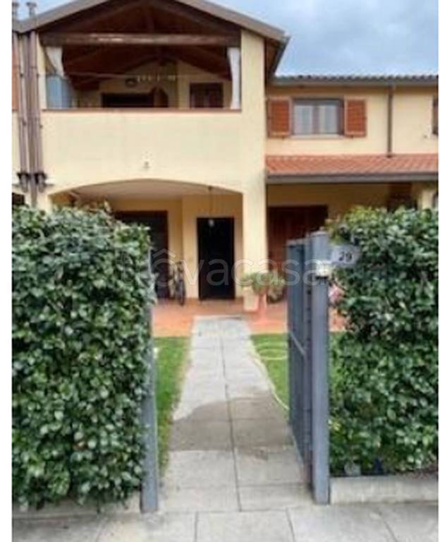 immagine annuncio 12 di 13