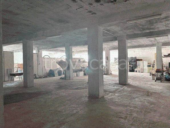 immagine annuncio 5 di 12