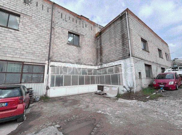 immagine annuncio 6 di 12