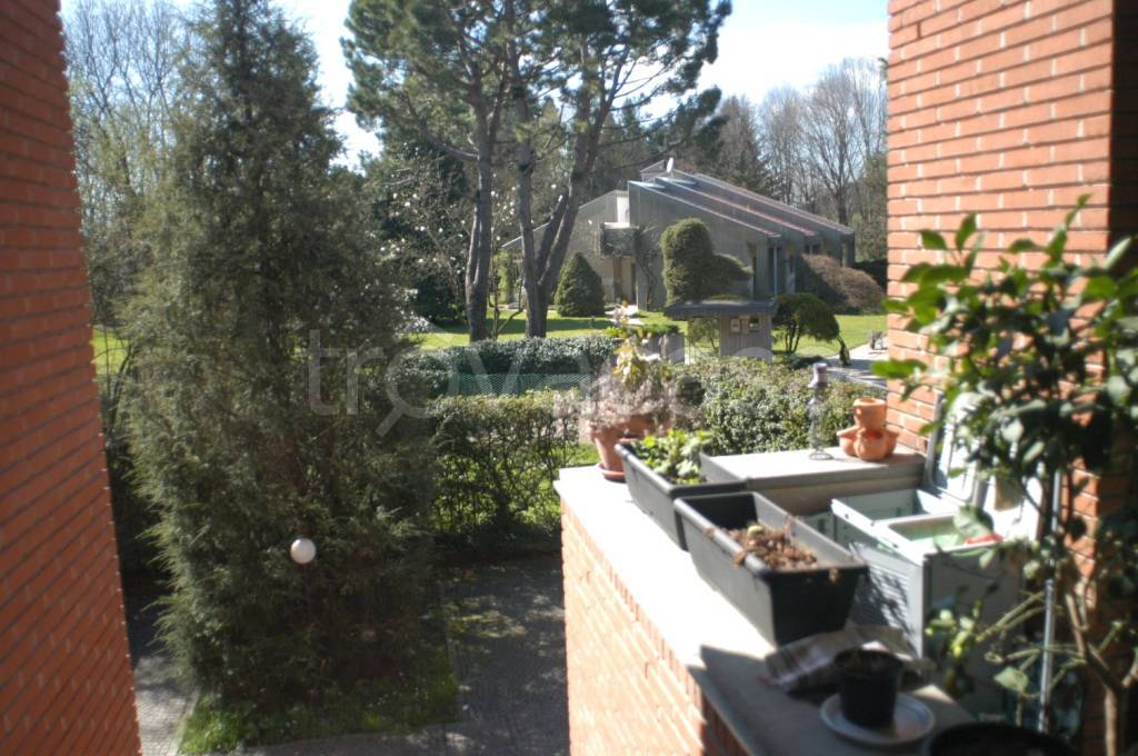 immagine annuncio 3 di 11