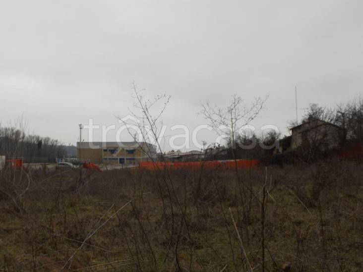 immagine annuncio 4 di 8