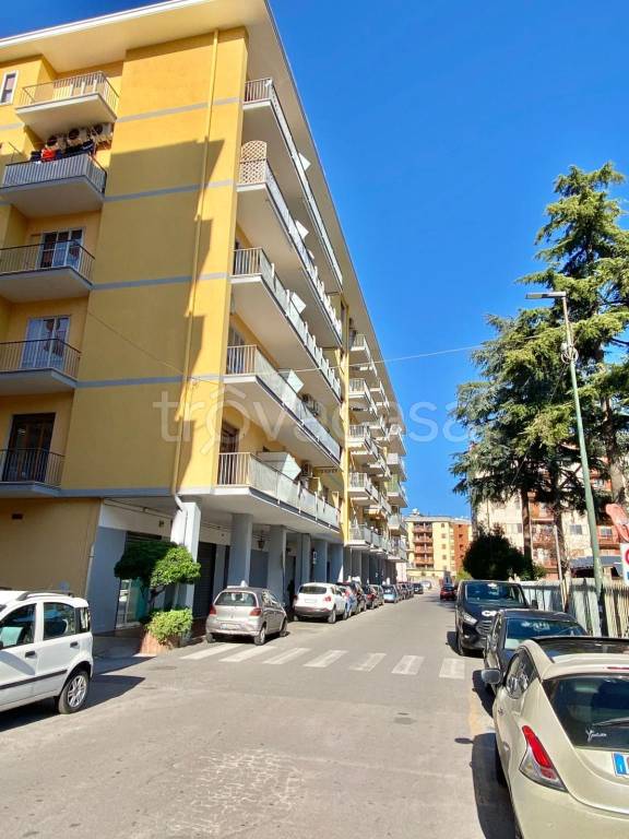 immagine annuncio 1 di 8