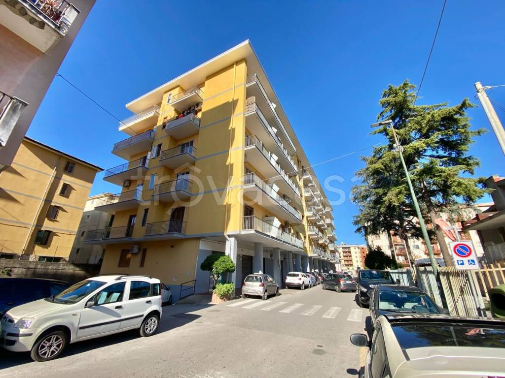 immagine annuncio 2 di 8