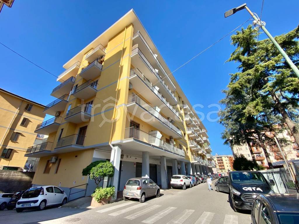 immagine annuncio 4 di 8