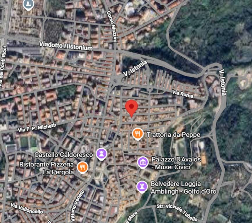 immagine annuncio 1 di 14