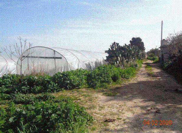 immagine annuncio 5 di 8