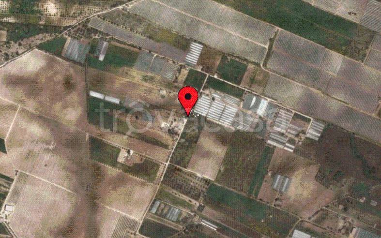 immagine annuncio 6 di 8