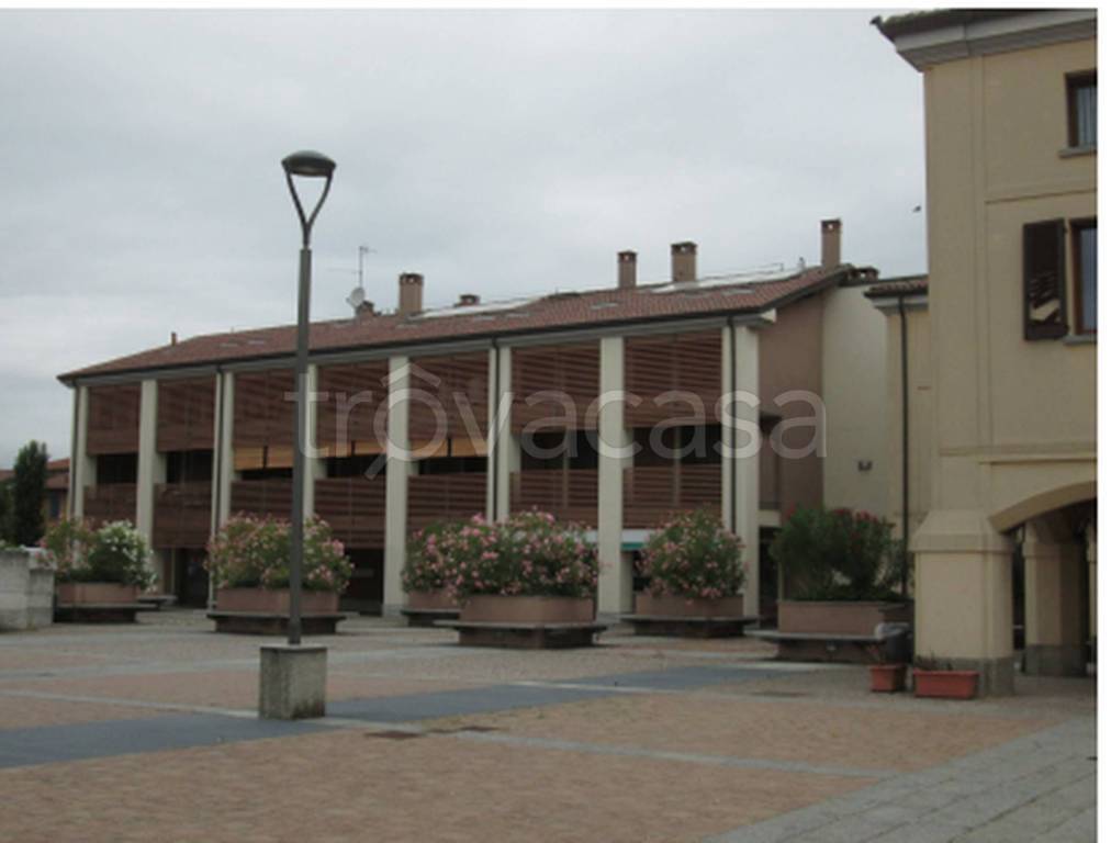 immagine annuncio 3 di 11