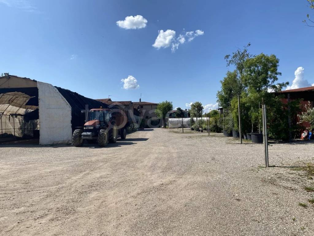 immagine annuncio 9 di 13