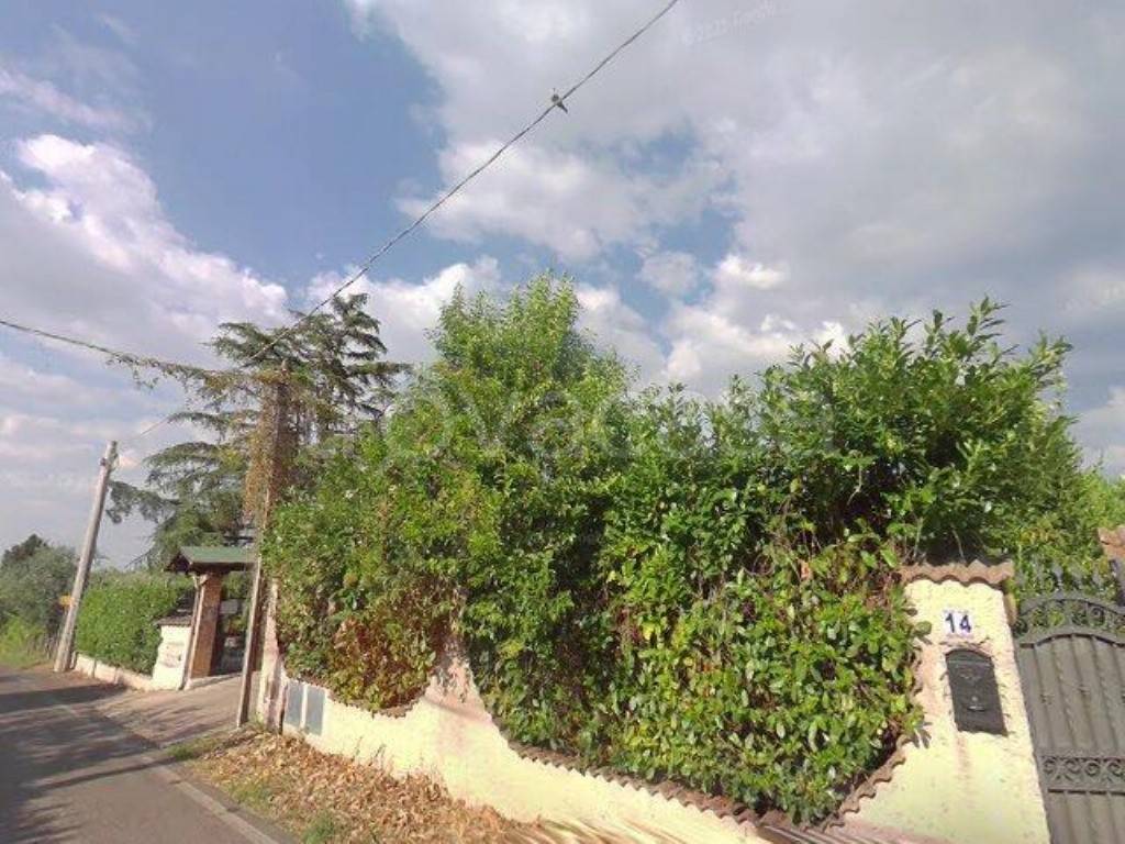 immagine annuncio 3 di 4