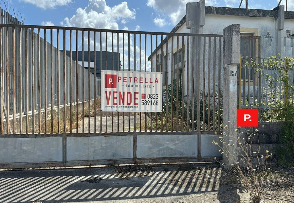 immagine annuncio 6 di 7