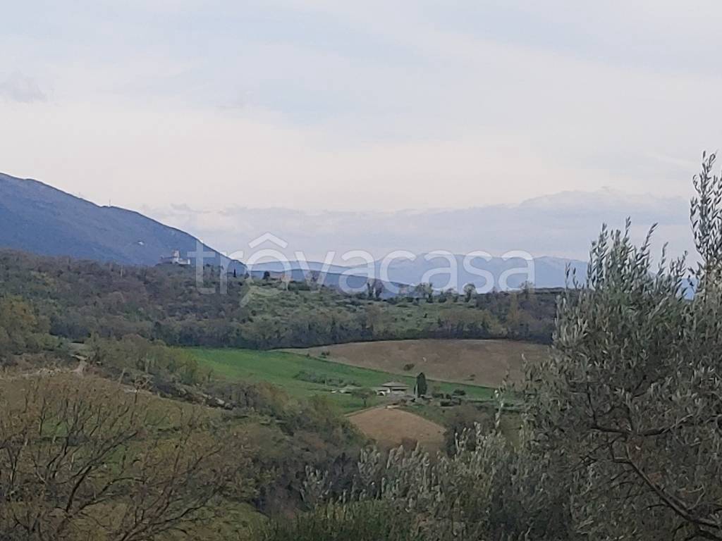 immagine annuncio 5 di 7