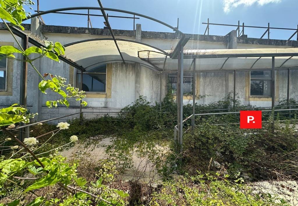 immagine annuncio 3 di 7