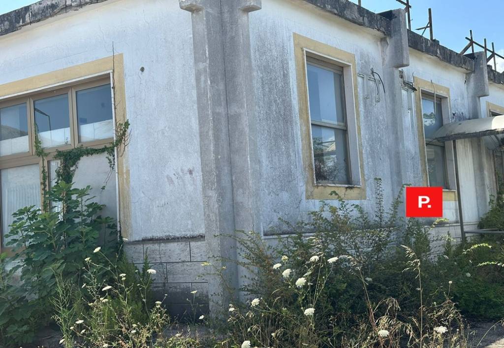 immagine annuncio 4 di 7