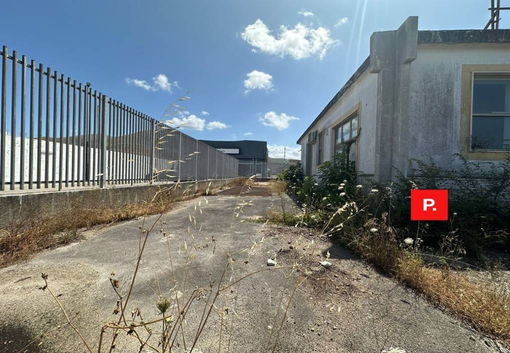 immagine annuncio 5 di 7