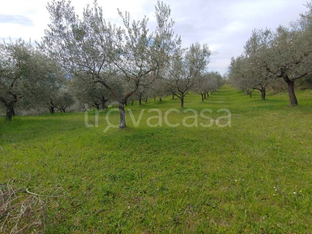 immagine annuncio 1 di 8