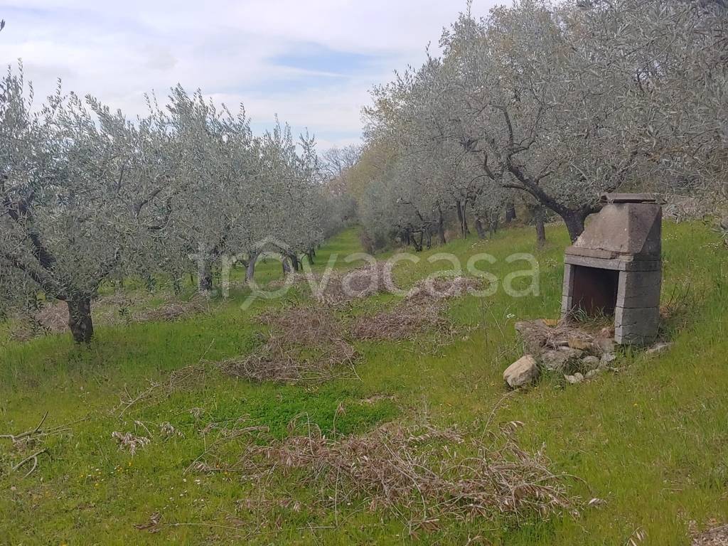 immagine annuncio 5 di 8