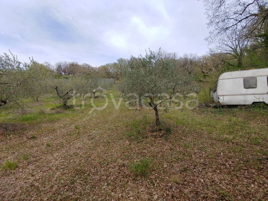 immagine annuncio 6 di 8