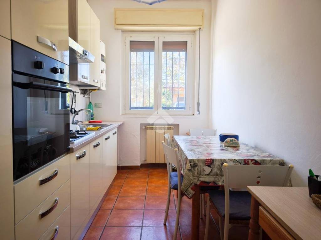 immagine annuncio 1 di 14