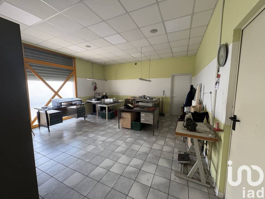 immagine annuncio 12 di 15