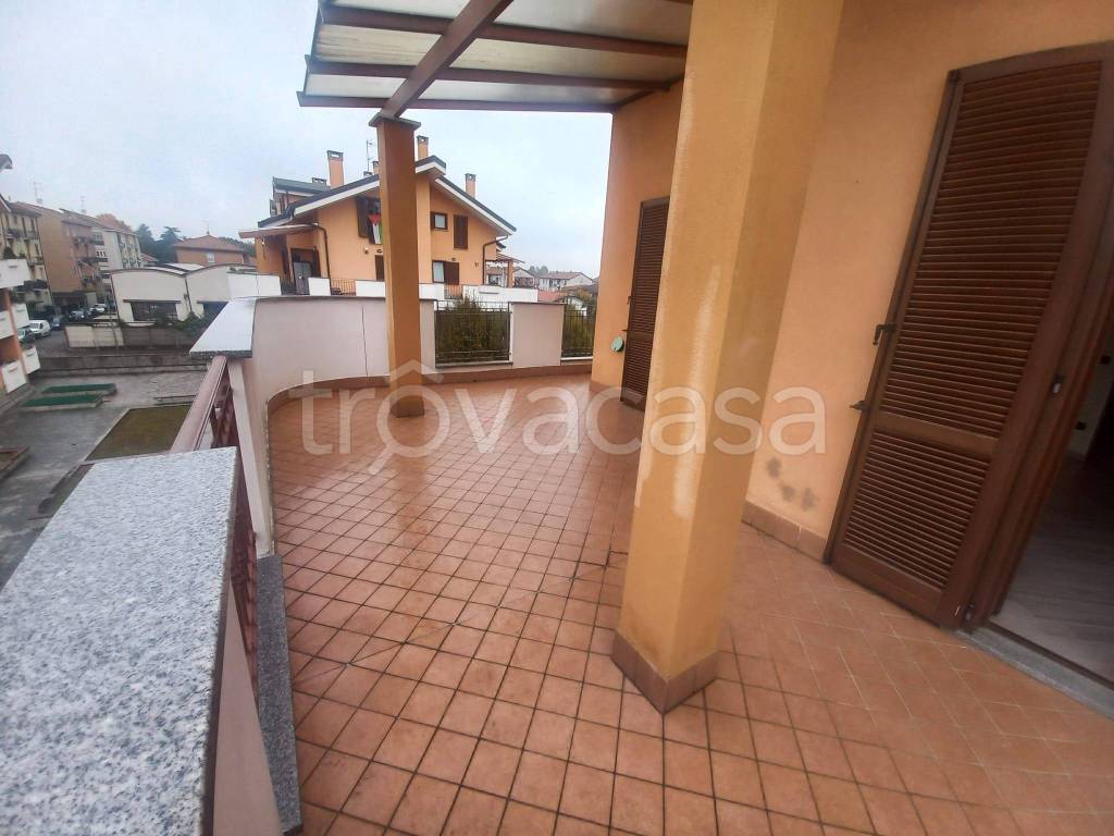 immagine annuncio 14 di 15