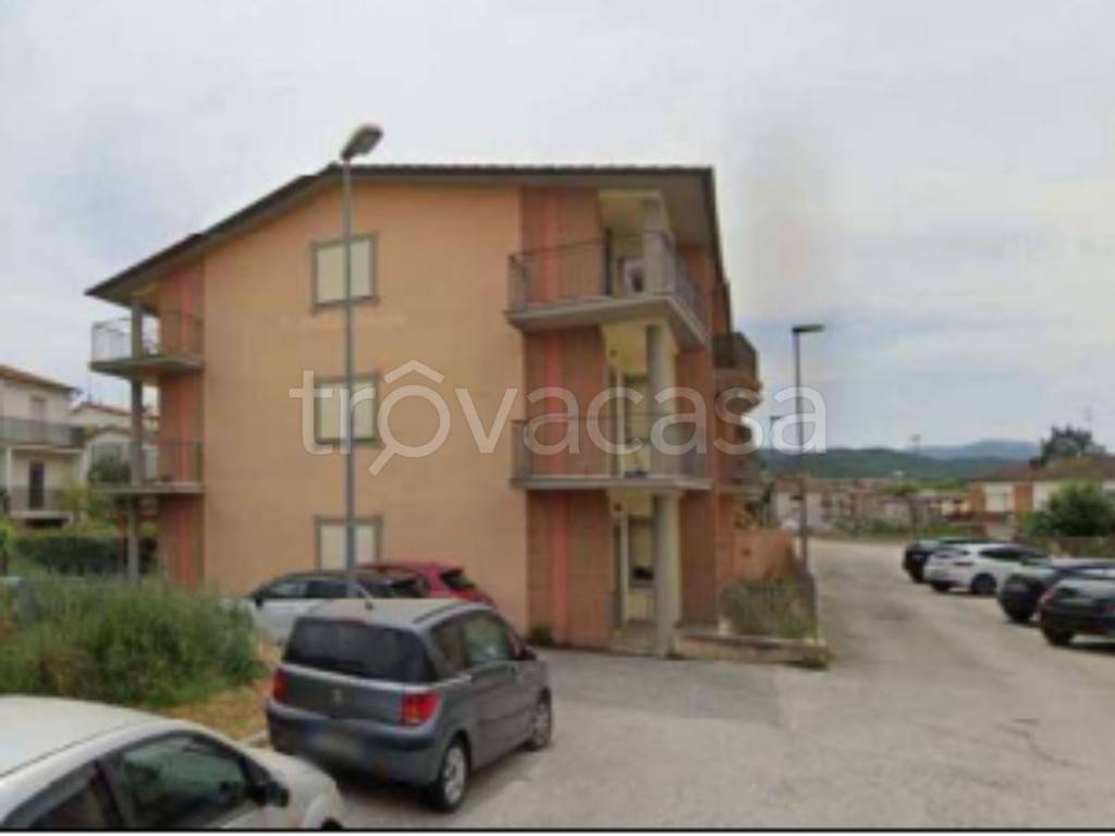 immagine annuncio 2 di 11