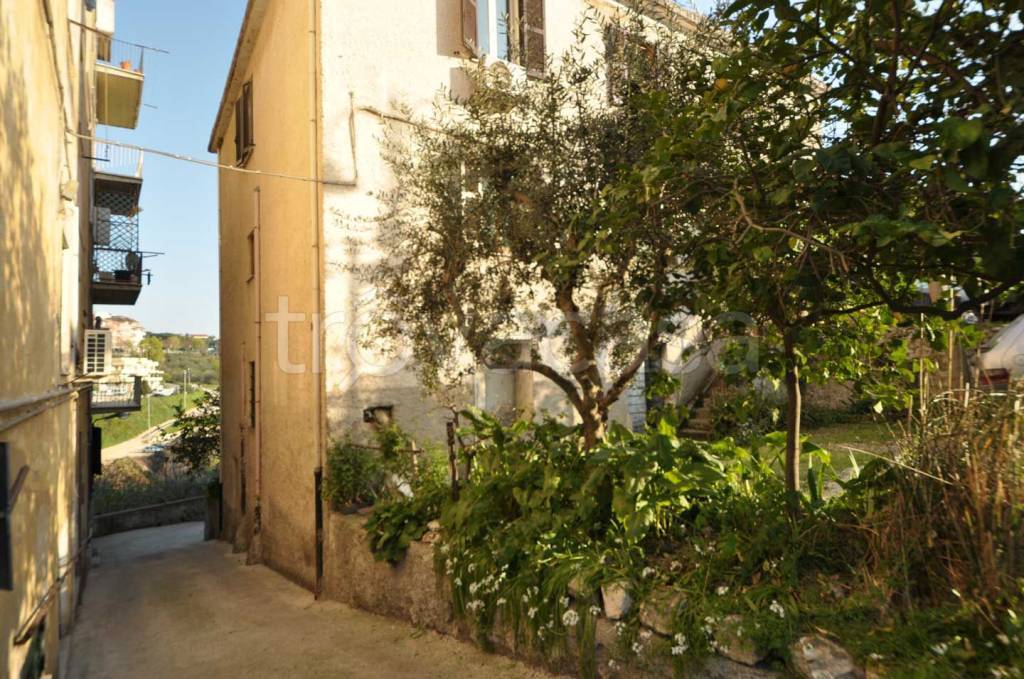 immagine annuncio 6 di 14