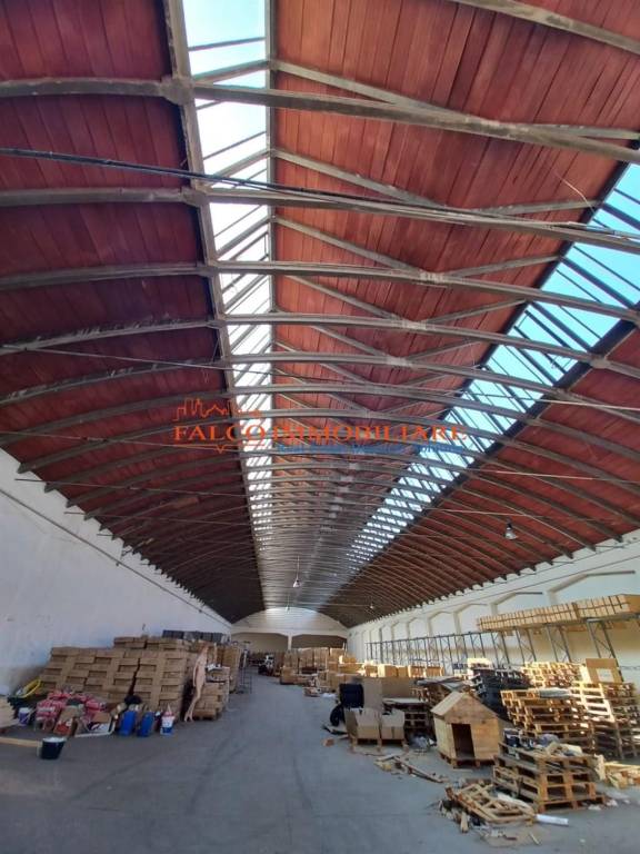 immagine annuncio 7 di 13