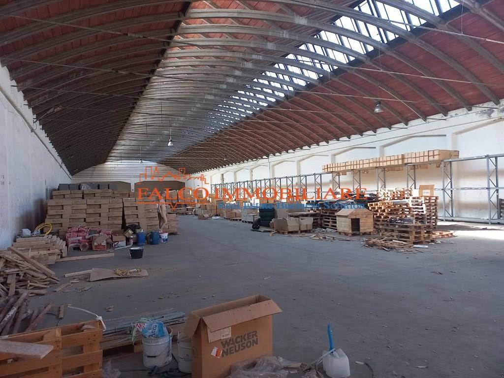 immagine annuncio 9 di 13