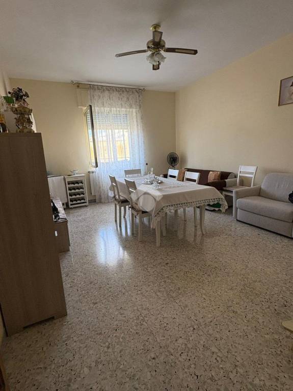 immagine annuncio 3 di 14