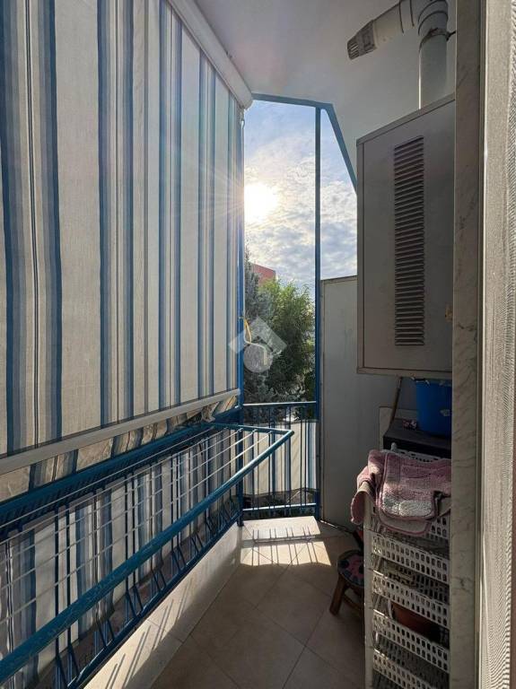 immagine annuncio 11 di 14