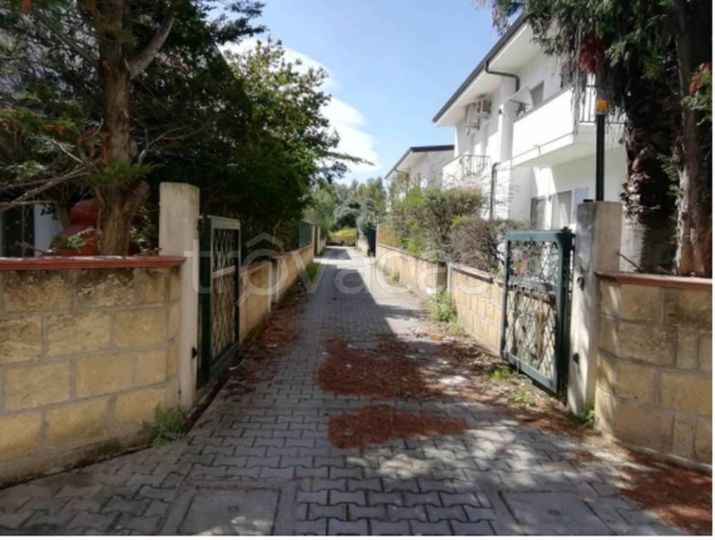 immagine annuncio 3 di 14