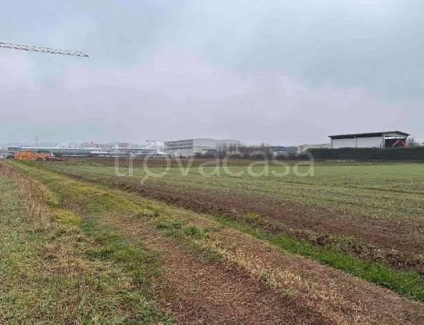 immagine annuncio 2 di 12