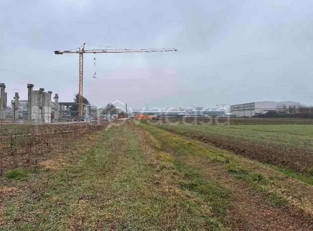 immagine annuncio 4 di 12