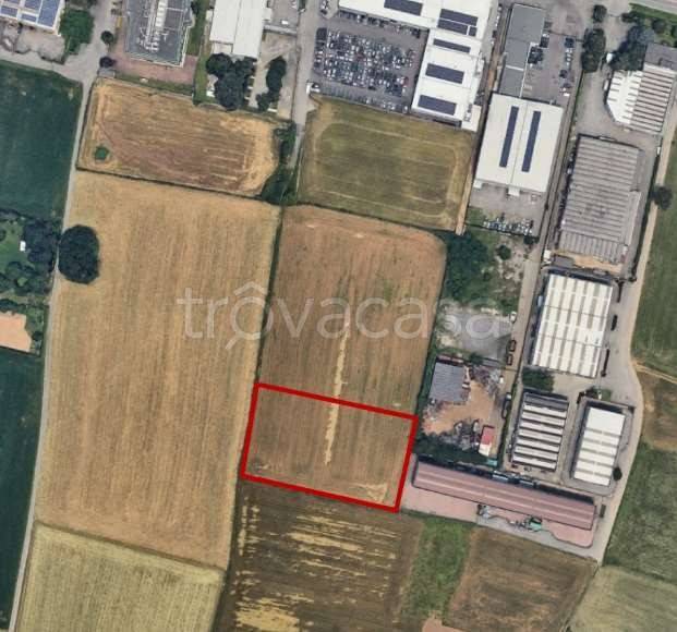 immagine annuncio 9 di 12