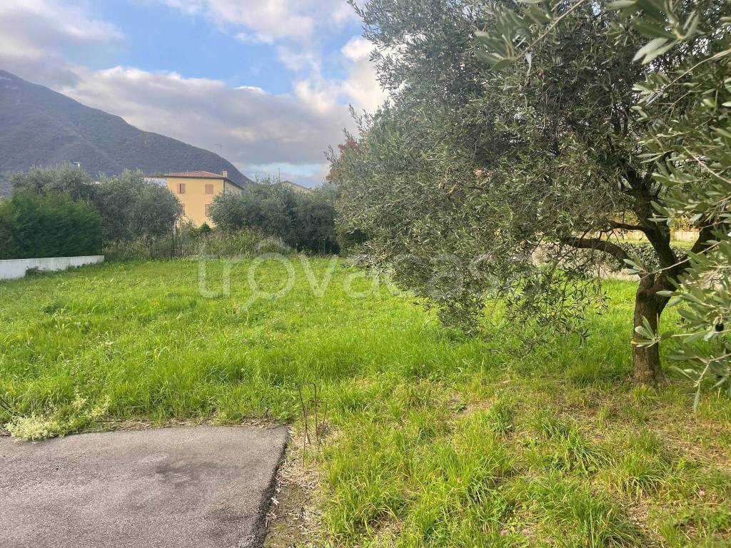 immagine annuncio 3 di 8