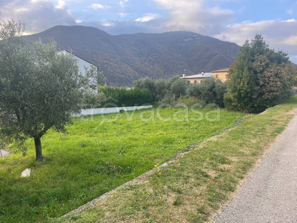 immagine annuncio 5 di 8