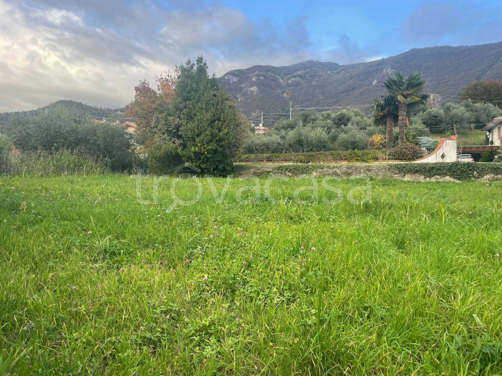 immagine annuncio 7 di 8