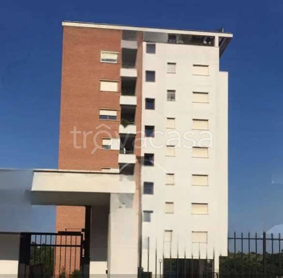 immagine annuncio 2 di 14