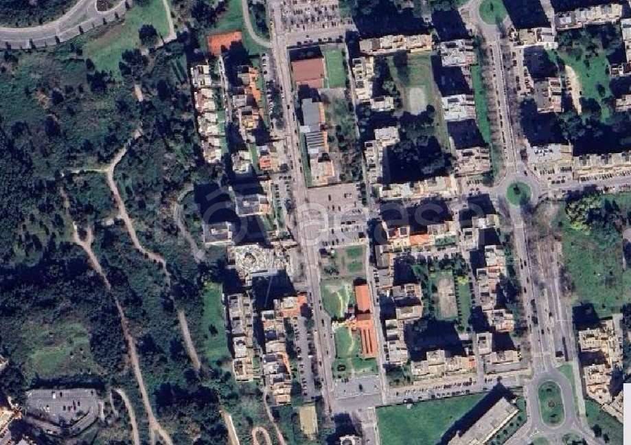 immagine annuncio 11 di 14