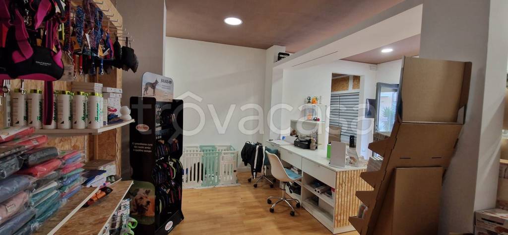 immagine annuncio 6 di 10