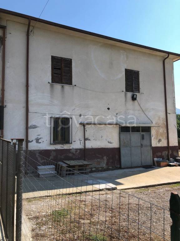 immagine annuncio 3 di 11