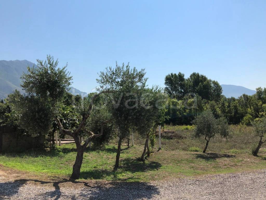 immagine annuncio 10 di 11