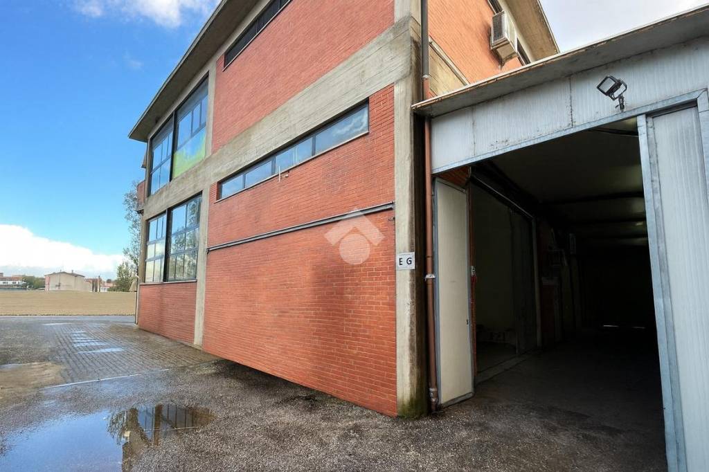 immagine annuncio 9 di 13