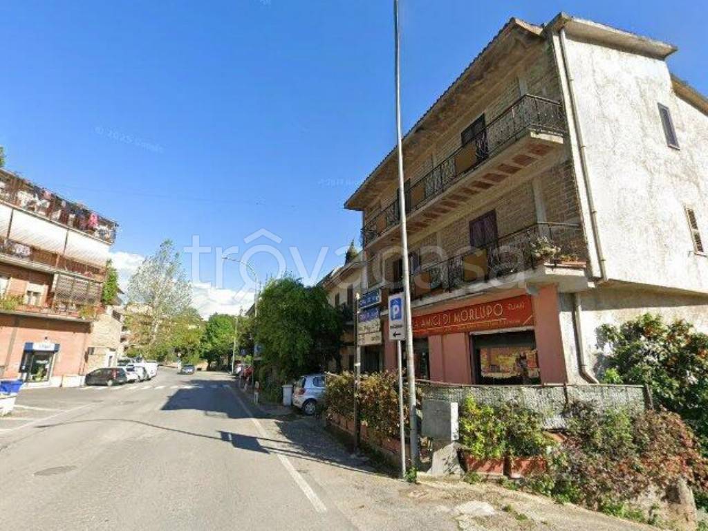 immagine annuncio 12 di 13